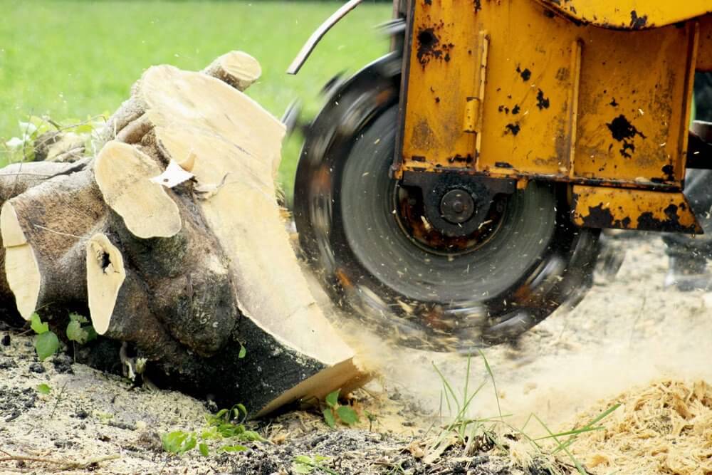 Stump Removal and Grinding